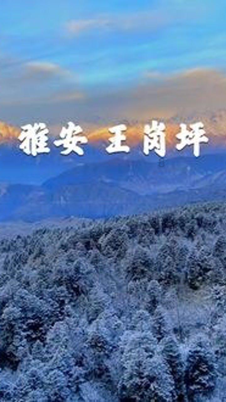 坦克世界闪击战